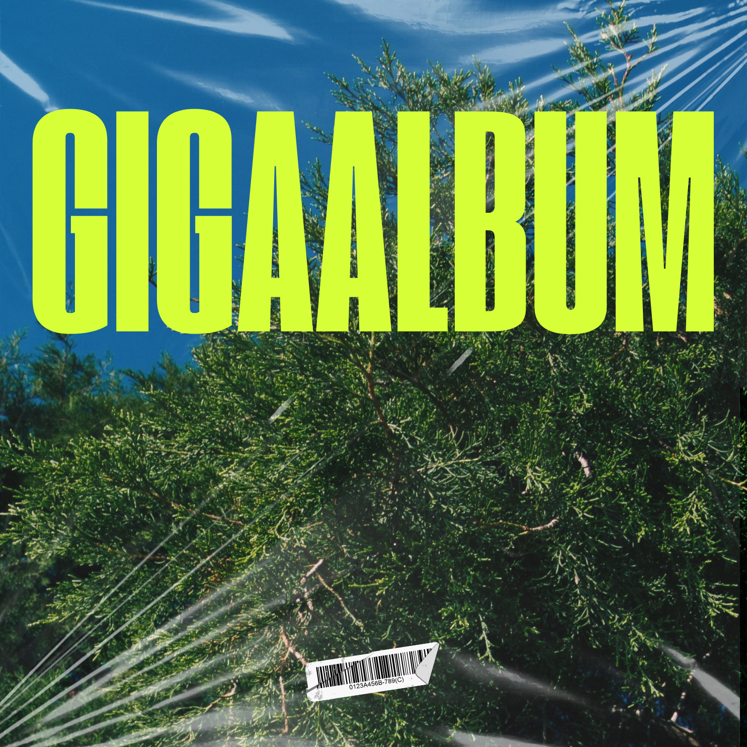 GIGAALBUM G